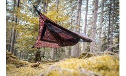 Az Traveller Camp Forest