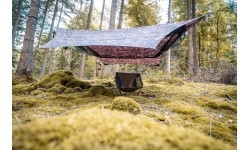Az Traveller Camp Forest
