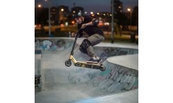 HS155 FLUORESCENT LION GOLD SCOOTER NILS EXTREME