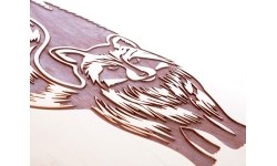 Tempish Coon longboard'as