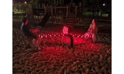 Seesaw SNAKE LUMO PLAY