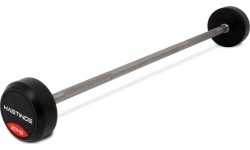 Sztanga Hastings Professional, 10 kg - 10 kg