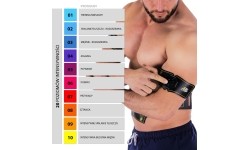 Elektrostymulator mięśni brzucha HMS ABS Master Pro Super