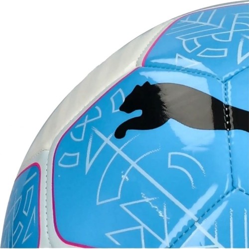 Puma Futbolo Kamuolys Prestige Ball White Blue 083992 12