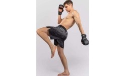 Venum Midnight Fury Fightshorts - Black/Grey/Silver