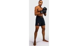 Venum Thunder Dragon Fightshorts - Black/Grey/Copper