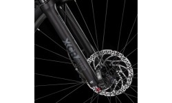 Mountain Bike 4EVER FRONTBEE 29” – 2025 - Pearl black/green