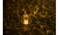 Float Chemistry Dispenser + BESTWAY LED Lamp