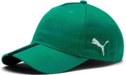Puma Kepurė Liga Cap Pepper Green 022356 04