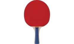 Table tennis bats Spokey TRAINING PRO
