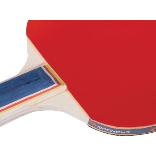 Table tennis bats Spokey TRAINING PRO