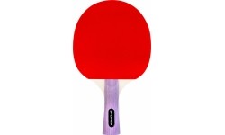 Table tennis set Spokey SMASH SET