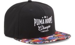 Puma Kepurė Basketball Pro Fb Cap Black Colored 024916 04