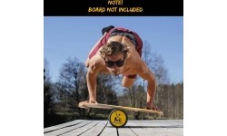 RollerBone Pro Roller