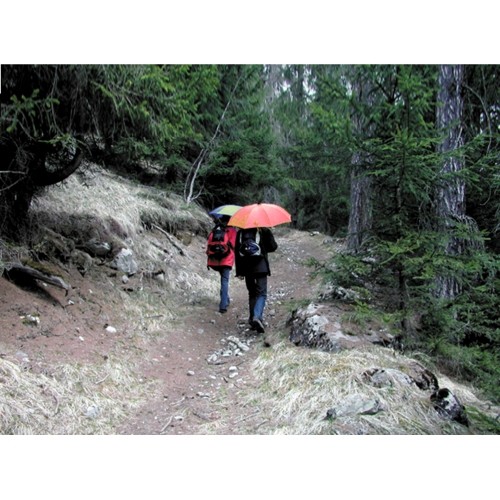 Parasol EuroSchirm „light trek automatic”