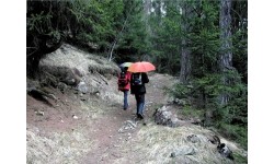 Parasol EuroSchirm „light trek automatic”