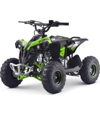 Quad spalinowy RENEGADE HighPer 110CC Zielony
