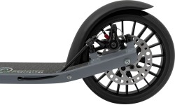 Hulajnoga SPORTRIKE srebrna