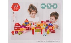 Wooden Blocks City 115pcs. + Sorter