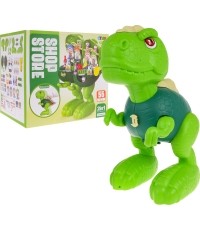 Dinosaur Shop + Accessories