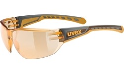 Okulary Uvex Equate smoke-orange / orange