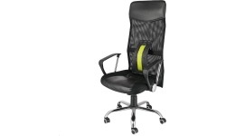 Prostownik pleców z magnesami HMS PRP02, zielony