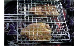 Ruszt do grillowania Coghlans