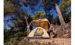 Co Tent 'Darwin Summer Plus'