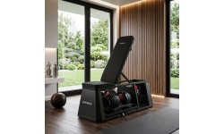 ADJUSTABLE WEIGHT BENCH WITH STORAGE, CHEST FLY ARMS LM4012 + 2X ADJUSTABLE DUMBBELL SET SR52 HMS