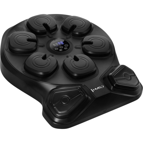 ELECTRONIC BOXING TARGET WITH BLUETOOTH, MUSIC AND GLOVES TB13 HMS