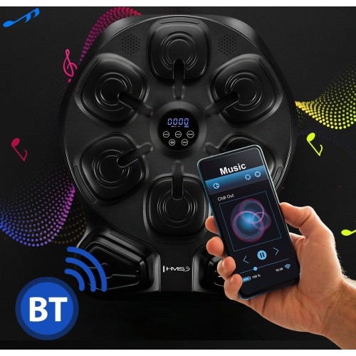 ELECTRONIC BOXING TARGET WITH BLUETOOTH, MUSIC AND GLOVES TB13 HMS