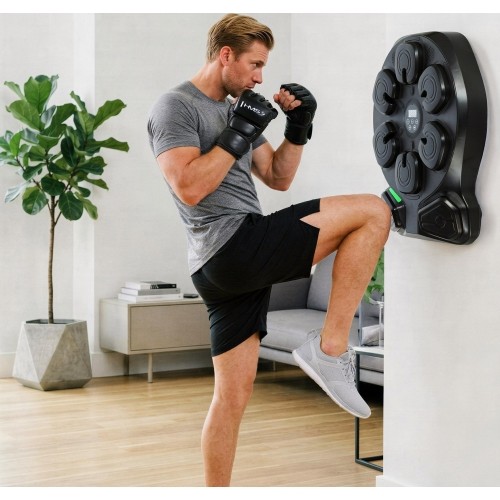 ELECTRONIC BOXING TARGET WITH BLUETOOTH, MUSIC AND GLOVES TB13 HMS