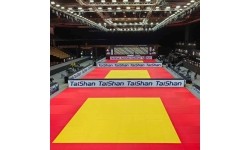 Mata do judo Taishan 200x100x4 cm, czerwona