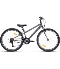 CROSS Speedster 2022 26'' // 21G, dydis 14" (35 cm) (pilka)