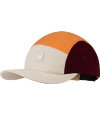5 Panel Venture Cap Allvin Cloud - 003