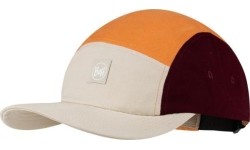 5 Panel Venture Cap Allvin Cloud - 003