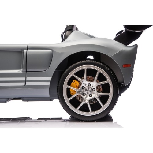 Vehicle Ford GT Gray