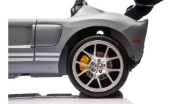 Vehicle Ford GT Gray