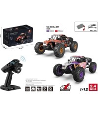 RC Crawler ALIKATA 1:12 Purple