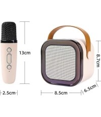 Karaoke Microphone and Speaker Set