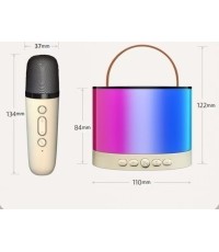 Karaoke Microphone + Illuminated Speaker Set
