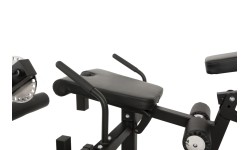 Newton Fitness Black Series BLK-60 wielofunkcyjny prostownik nóg