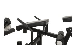 Newton Fitness Black Series BLK-60 wielofunkcyjny prostownik nóg