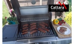 Grill gazowy WINDOW 3+1, mobilny