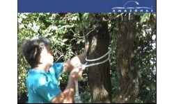 Pasek do hamaka Amazonas Smartrope, 1 szt.