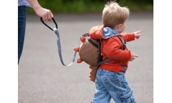 Plecak dziecięcy Littlelife Dinosaur