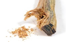 Podpałka z drewna żywicznego Origin Outdoors „Maya Stick”