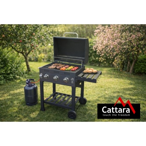Grill gazowy ROYAL GAS L z rusztem żeliwnym