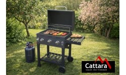 Grill gazowy ROYAL GAS L z rusztem żeliwnym