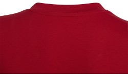 Adidas koszulka młodzieżowa Ent22 Tee Y Red HC0446